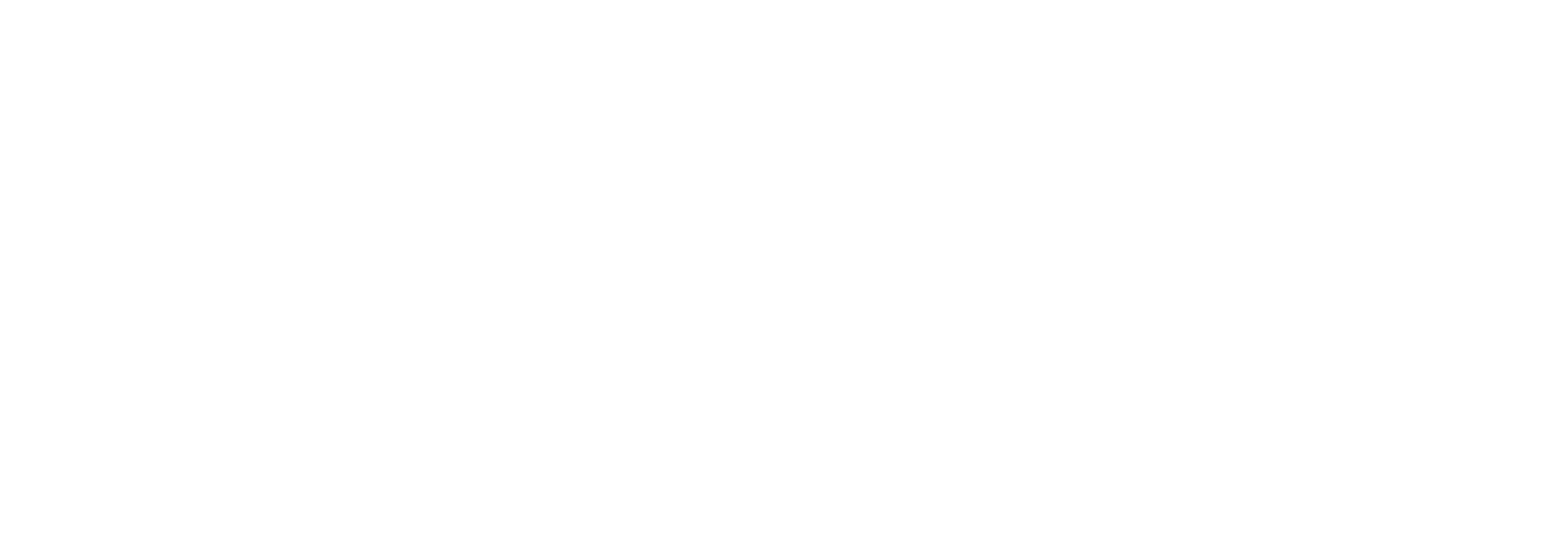 Smart IMS white logo