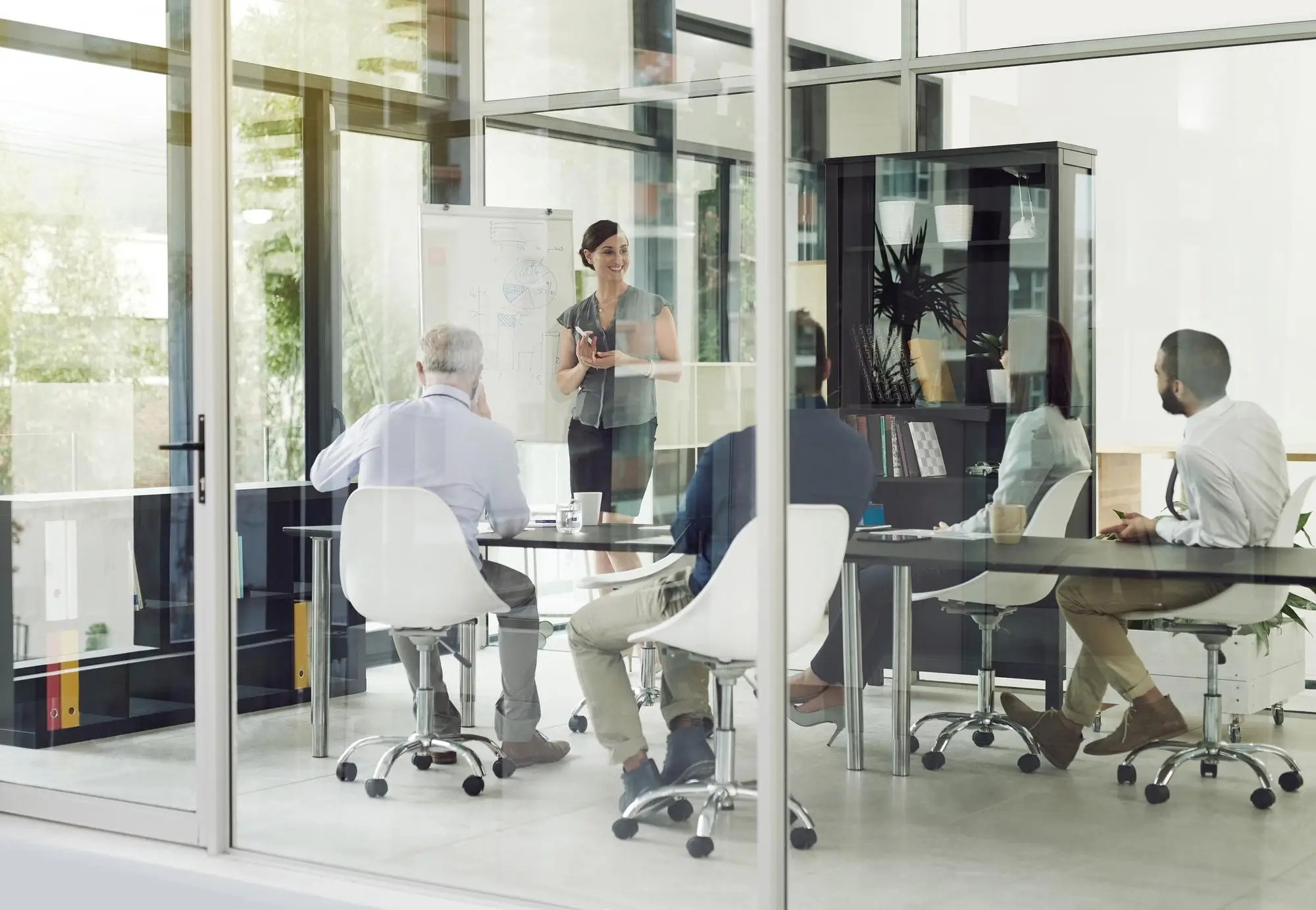 About Us | Capricorn Systems Inc.